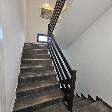 Filipovic Rent A Car & Apartments Selnica Scitarjevska Esterno foto