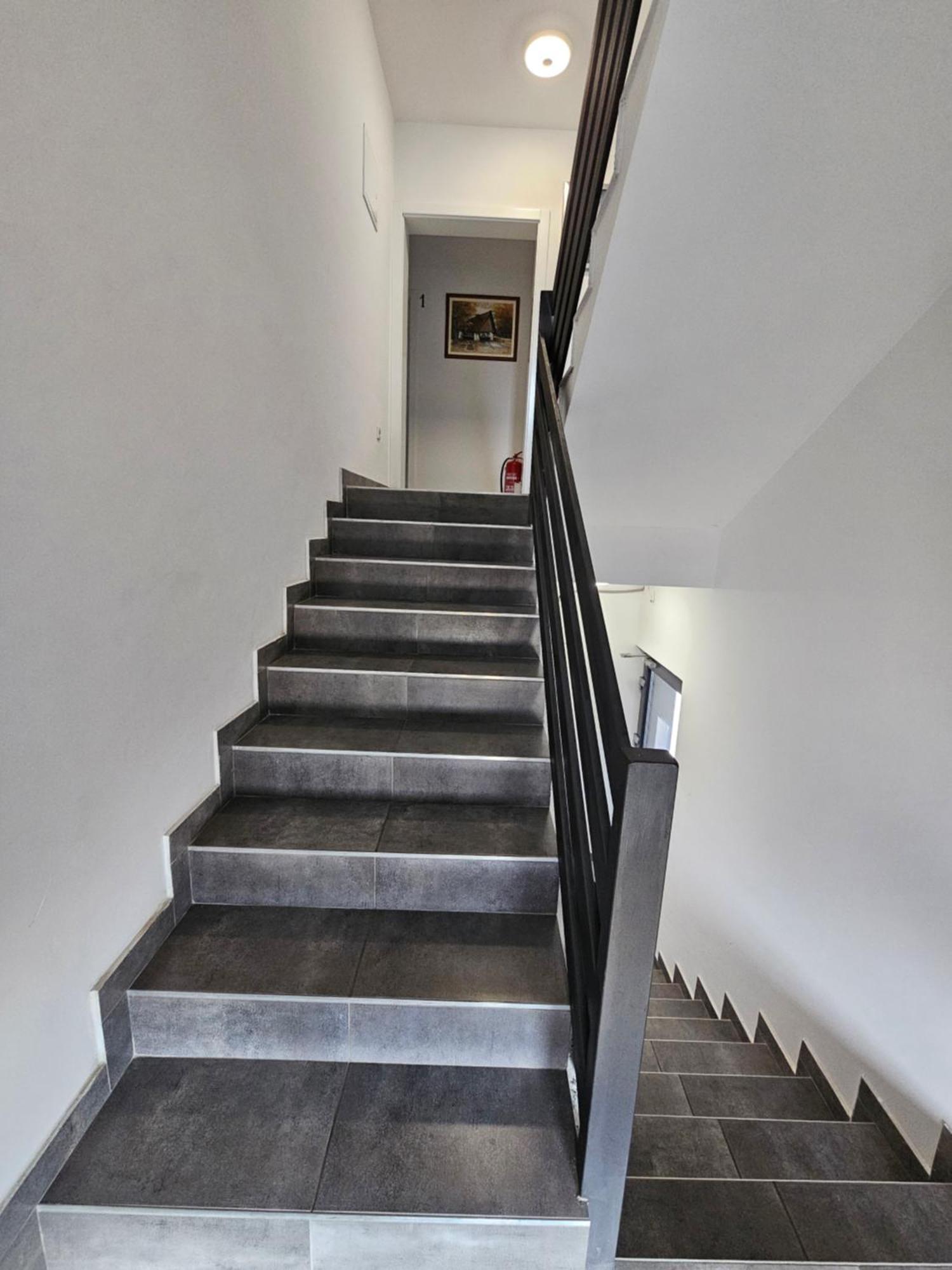 Filipovic Rent A Car & Apartments Selnica Scitarjevska Esterno foto