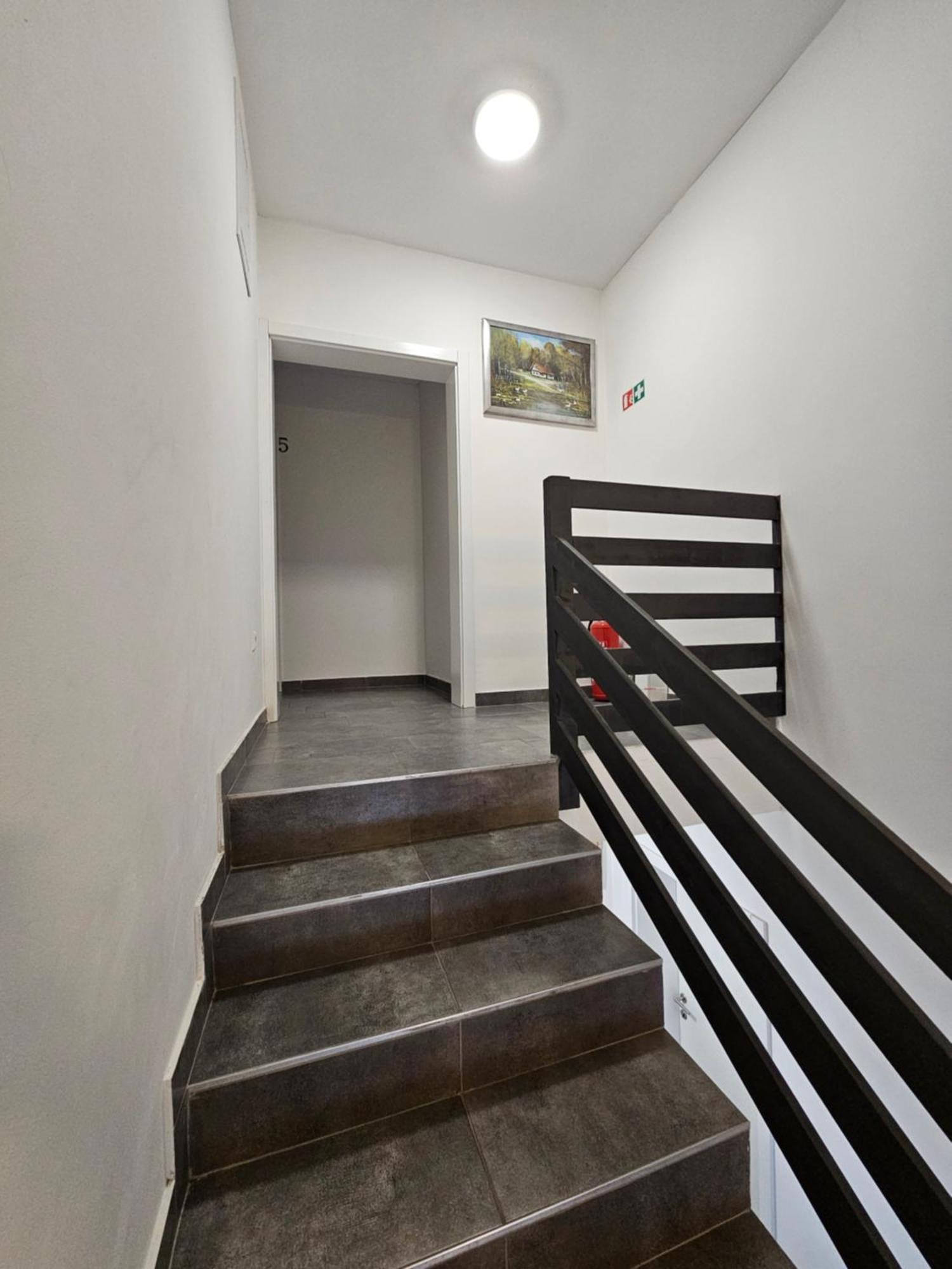 Filipovic Rent A Car & Apartments Selnica Scitarjevska Esterno foto