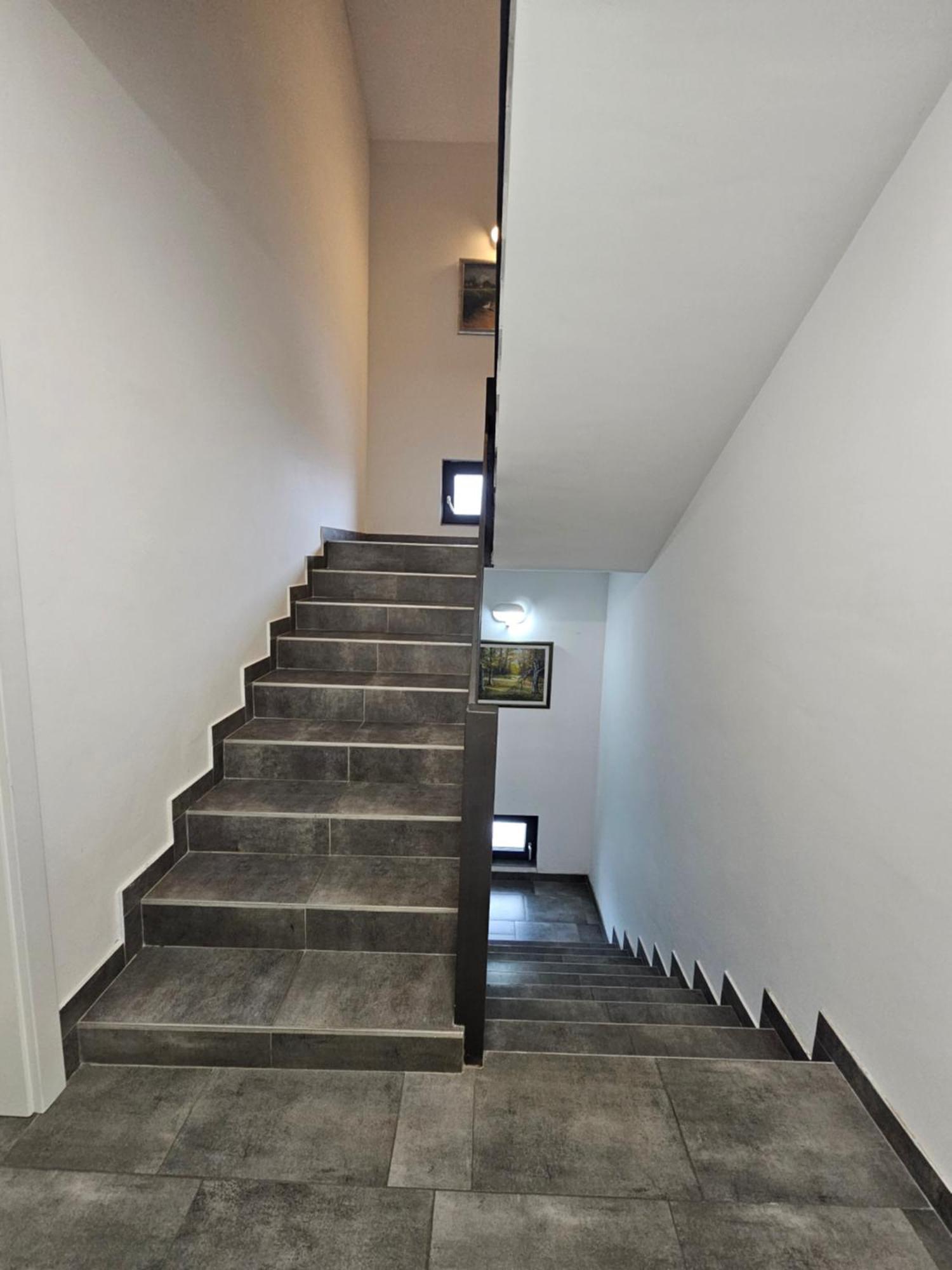 Filipovic Rent A Car & Apartments Selnica Scitarjevska Esterno foto